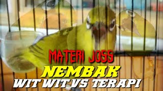 Download Lagu SEKALI DENGAR LANGSUNG BUNYI..!! TERAPI PANCINGAN PLECI GACOR Paling Ampuh Bikin PLECI NEMBAK MP3