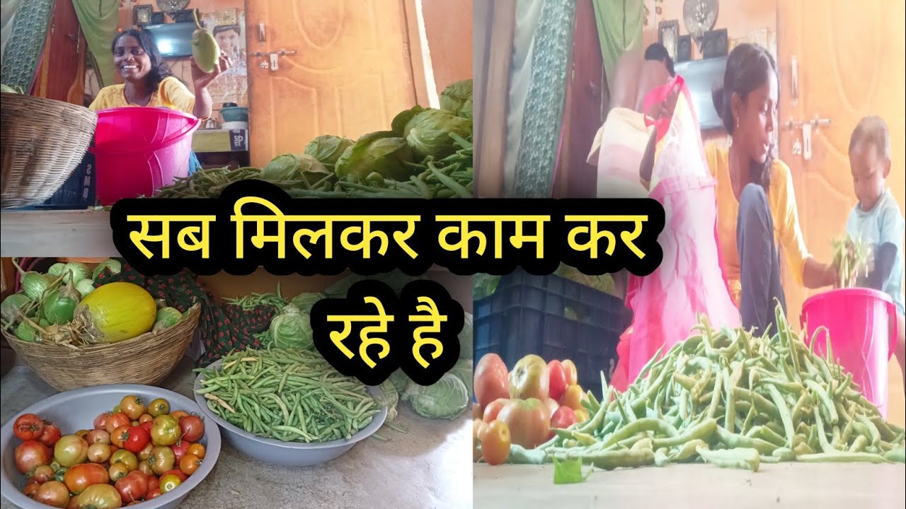 बहुत सब्जी तोड़े बाजार ले जाने के लिए || Plucking plenty of vegetables for the market ||