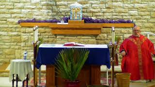 Palm Sunday of the Passion of the Lord