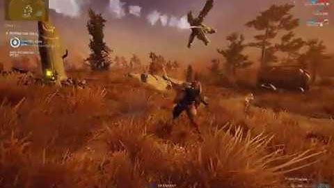 First Person Perspective in Warframe: bug or feature?