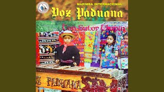 Video thumbnail of "Marimba Internacional Voz Paduana - Chicha Fuerte"