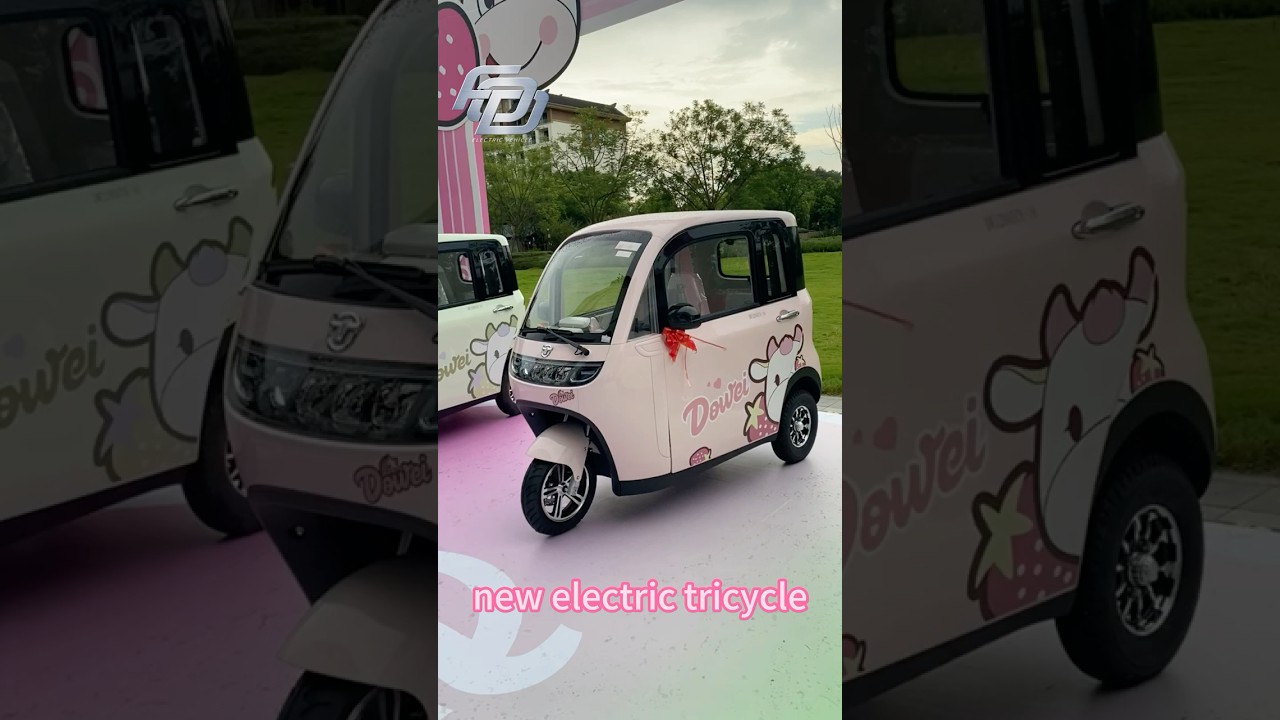 New Arrival mini electric tricycle