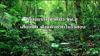 เสียงธรรมชาติ Vol.2 ฟังสบายๆ เสียงนกร้องในป่า ฟังแล้วช่วยให้ใจสงบ ผ่อนคลายอารมณ์