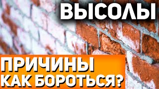 Почему Появляются ВЫСОЛЫ НА КИРПИЧЕ и Как с Ними БОРОТЬСЯ? / Строительство Домов #высолы