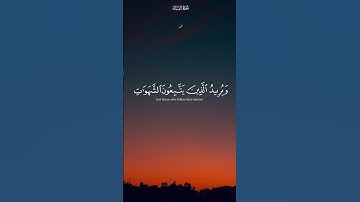 تلاوة مؤثرة من القرآن الكريم .. ترتيل يريح القلوب