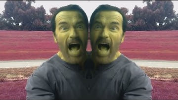 Put that cookie down G major effects