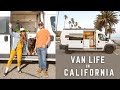 Van Life in California | Big Sur | Flower Fields | Our Dog