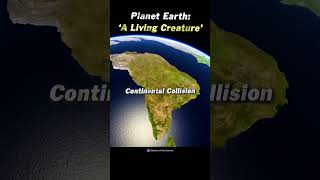 🌎 Planet Earth - 