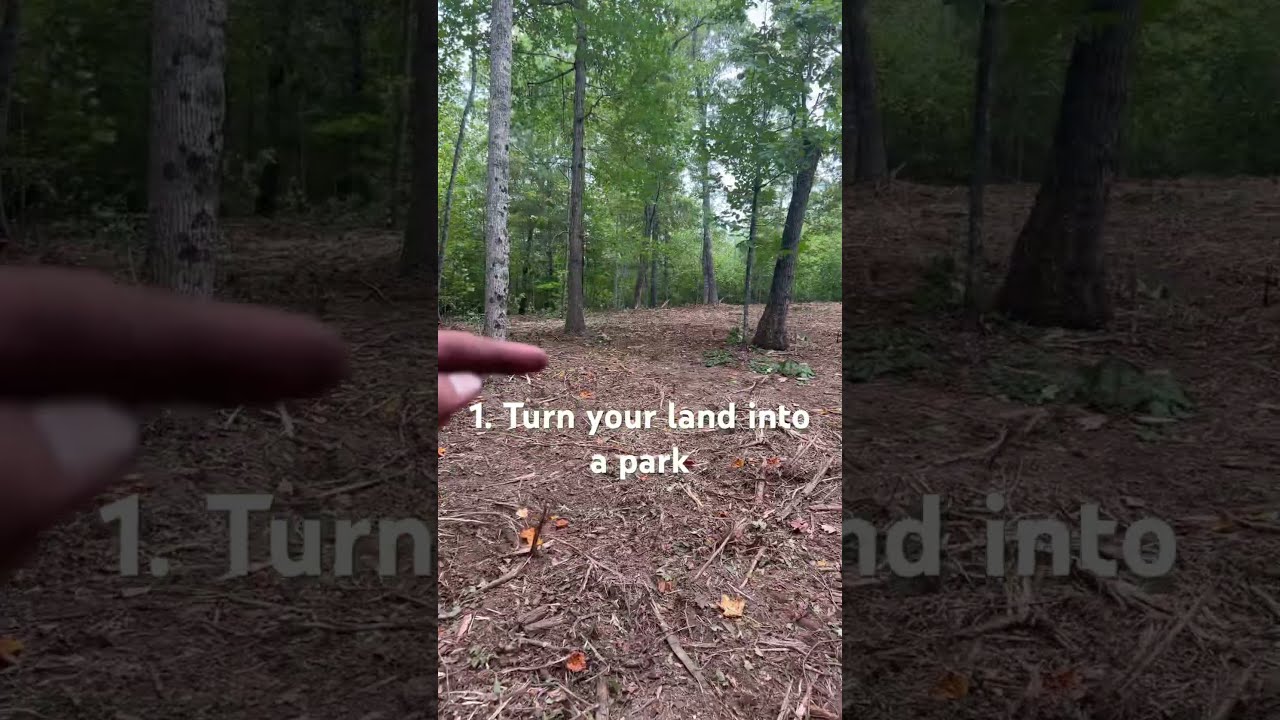 3 Reasons Why Landowners NEED To Use A Forestry Mulcher Forestrymulching Landclearing