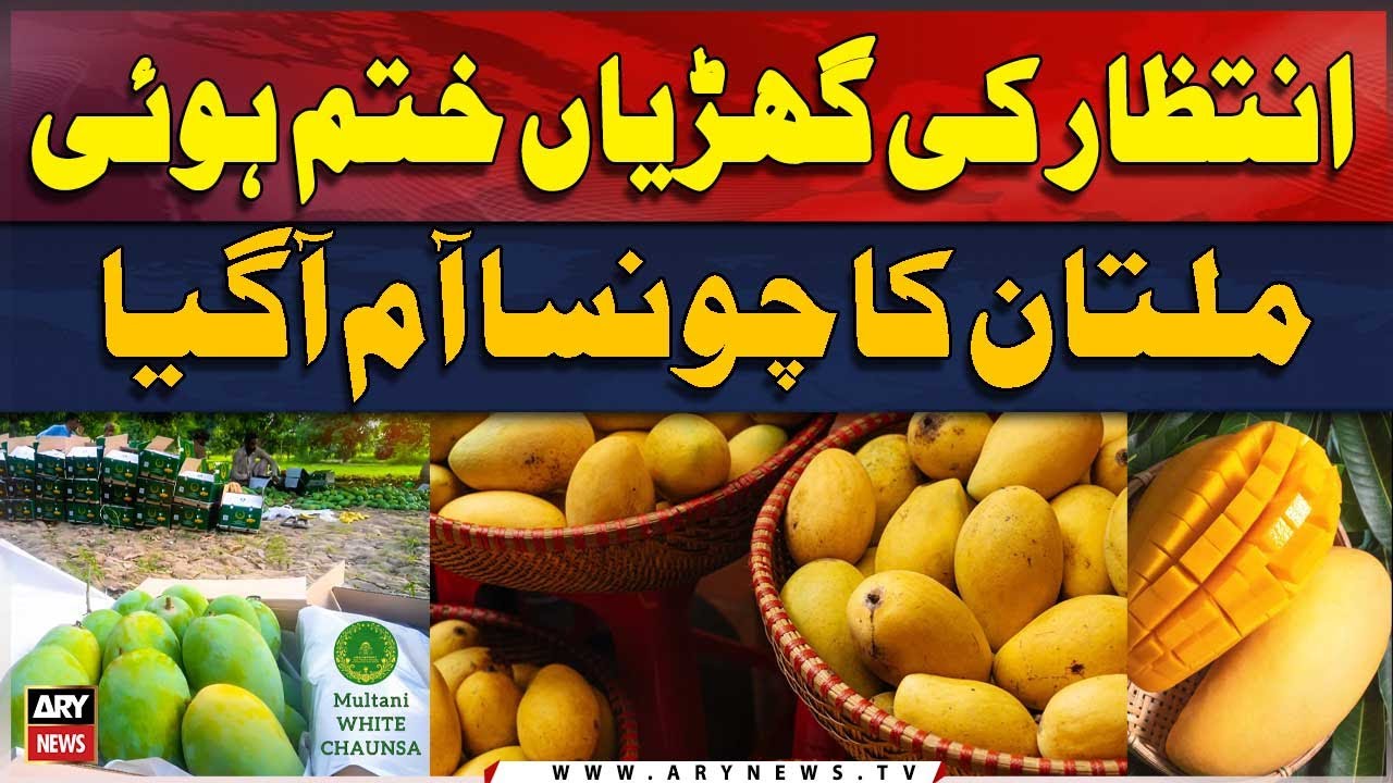 Intizar ki Ghariyan khatam Multan ka Mango pak Kar tayyar - YouTube