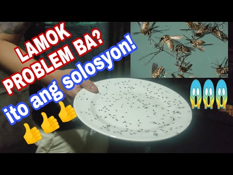 Video: Mga Bomba Ng Usok Mula Sa Mga Lamok: Mga Tampok Ng Bomba Laban Sa Likas Na Lamok, Ang Pinakamahusay Na Mga Tagagawa At Rekomendasyon Para Magamit