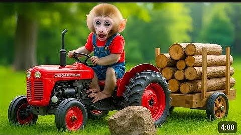 Monkey Nana’s Tractor Adventure: Cleverly Solving a Road Accident! 