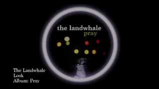 The Landwhale - Look