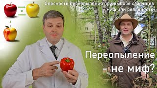 Опасность переопыления при выборе саженцев - миф или реальность?