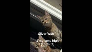 Silver Wsh - J'me sens high (Fortnite)