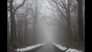 Best Hávamál Quotes For The Traditional European