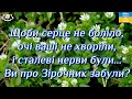 Щоби серце не боліло, очі ваші не хворіли, і сталеві нерви були... Ви про Зірочник забули?🌺