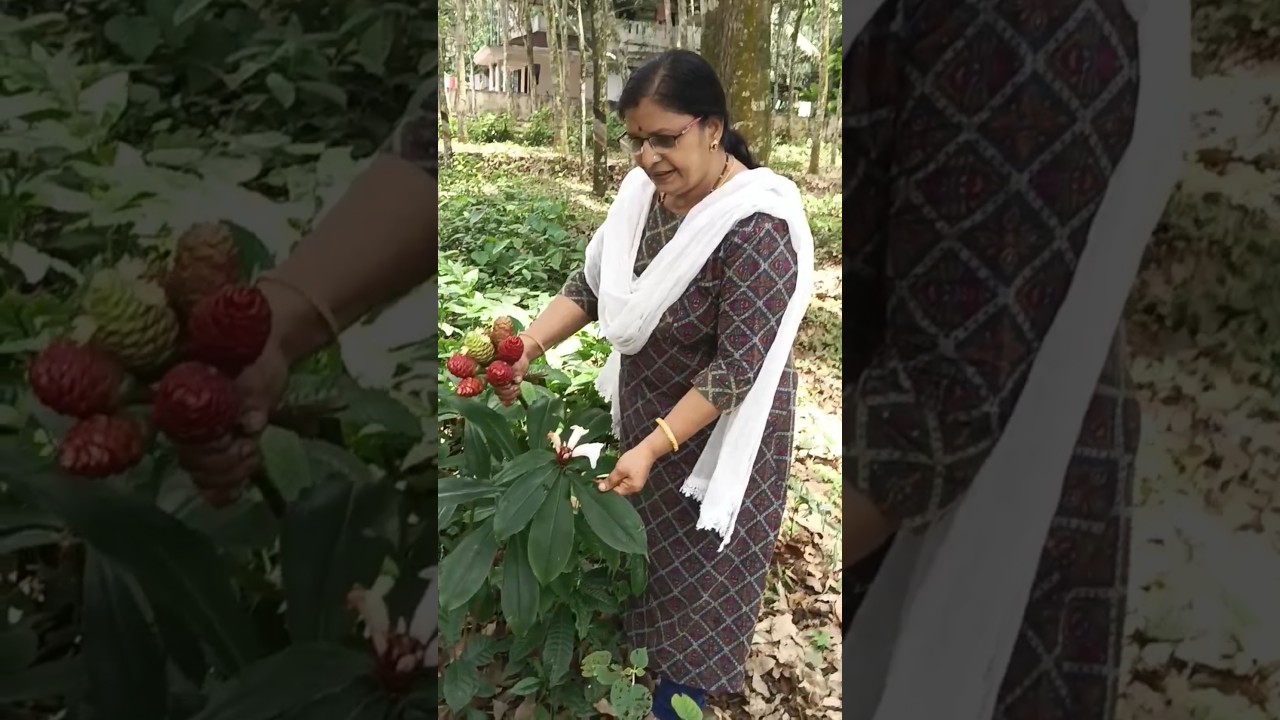 ഇതു രണ്ടും ഒന്നാണോ? 