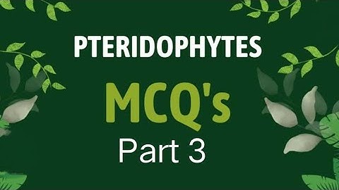 Pteridophyte mcq part 3 #pteridophytes#mcq#importantquestions#bsc2ndsemester#msc#botany