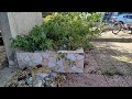 No one wanted to clean this kind lady’s garden, so I did it for free