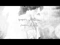 Everyone Asked About You Paper Airplanes Paper Hearts 2xlp Official Announce 