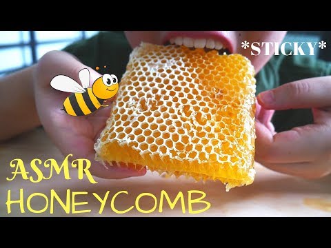 asmr-raw-honeycomb-(sarang-madu)-|-sticky-eating-sounds-|-asmr-indonesia-|-no-talking
