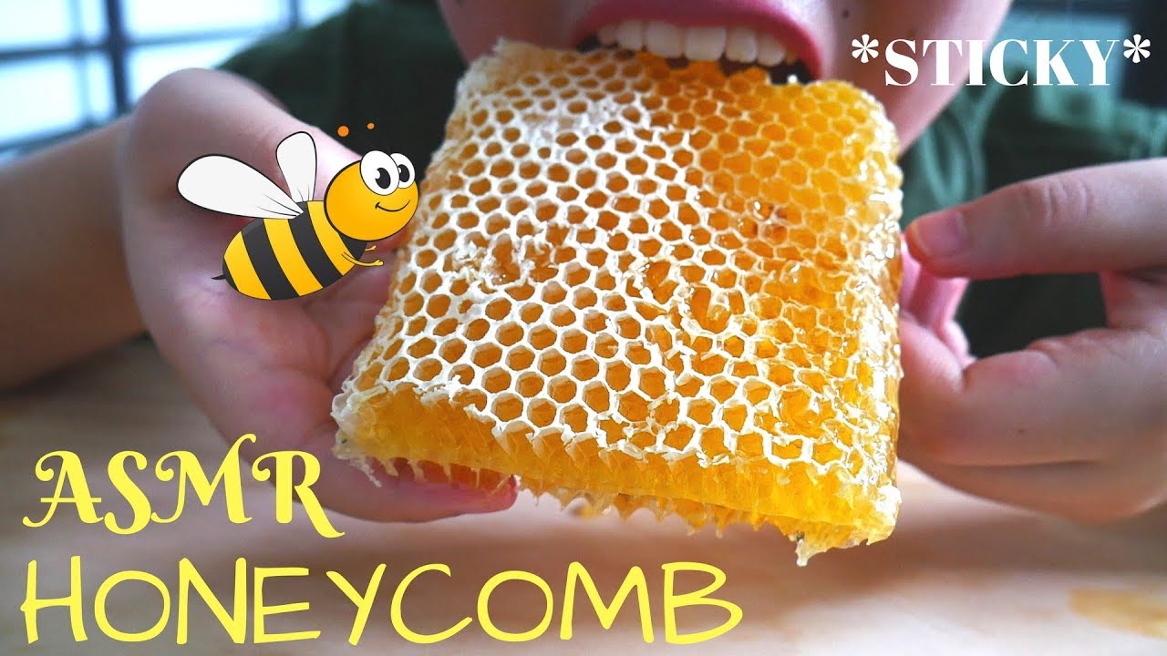 ASMR RAW HONEYCOMB (SARANG MADU) | STICKY EATING SOUNDS | ASMR INDONESIA | NO TALKING