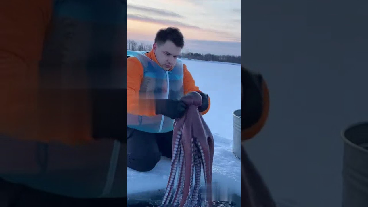 (@burdxd sora2) Лучшие моменты и хайлайты делайте со мной нарезки, предлагайте свои идеи)