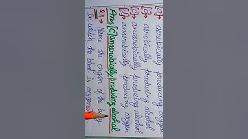 Class 7 , Science chapter 10, NCERT, Respiration in organisms, Multiple choice questions.