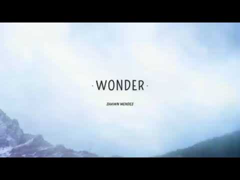 Shawn Mendes- Wonder (Lyrics)