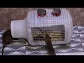 Mouse Trap In Home |  Idea Mouse Trap | Mouse Trap LIVE