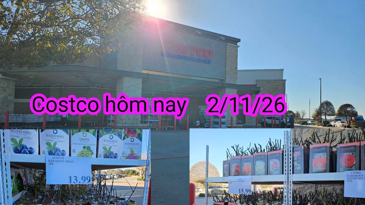 #653:Dạo quanh chợ Costco xem những mặt hàng hạ giá hôm nay. Thấy cây giống, bông giá rất đẹp luôn.