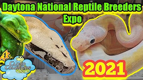 Daytona National Reptile Breeders Expo: Part 4 Finale.