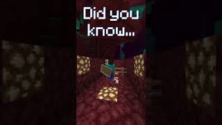 How To Do The Shield Glitch in Minecraft