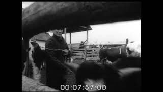 Малі ГУЛЯКИ. ч.1.реж.Ю.М.Терещенко.1989р. УкрКіноХроніка