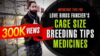 Important Tips For Love Birds Fancier's Like Cage Size, Breeding Tips, Breeding Medicine screenshot 5
