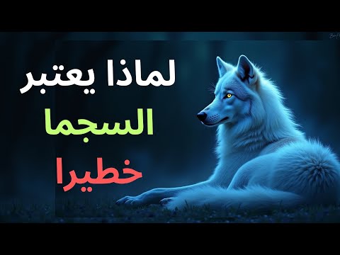 لماذا شخصية السيغما مرعبة تحليل نفسي عميق للذئب المنفرد