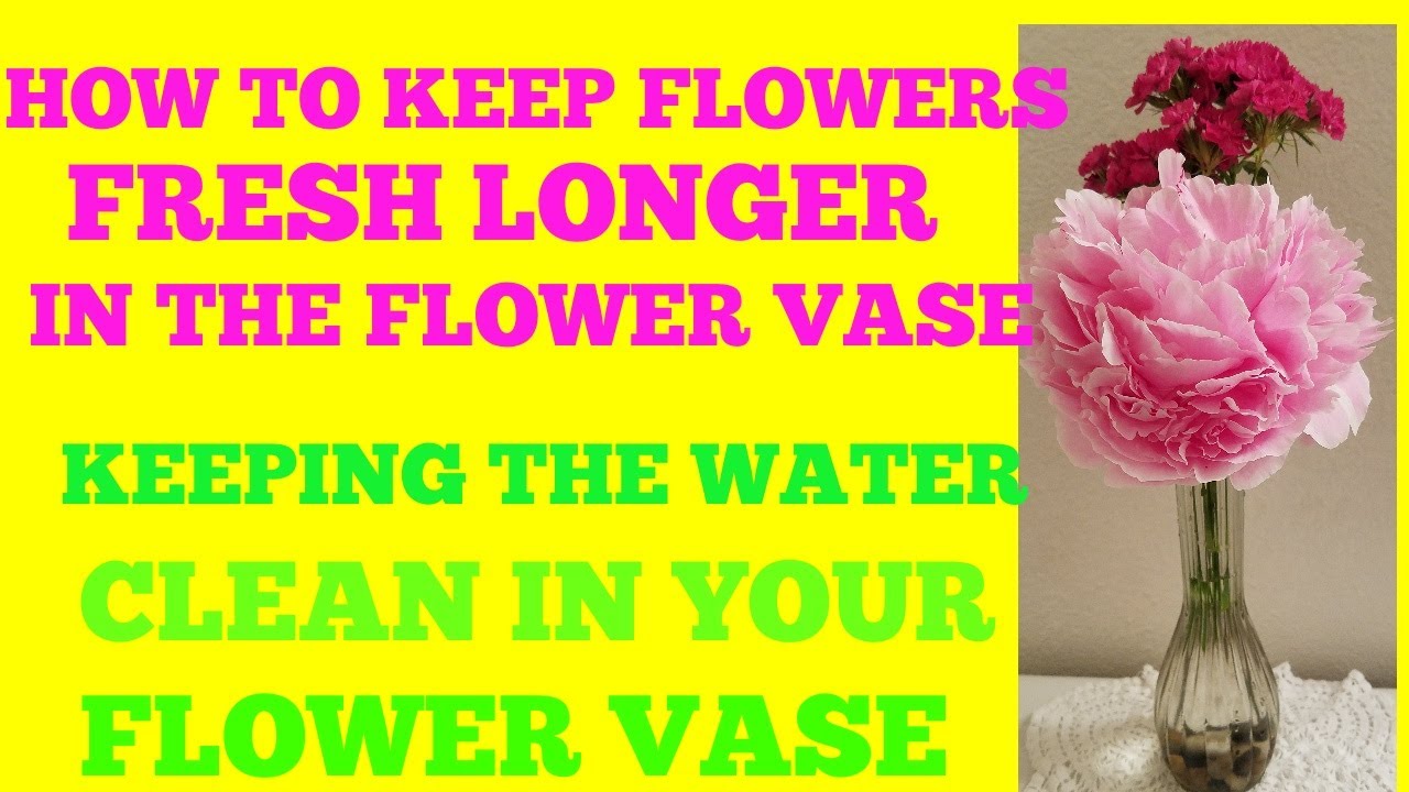 How To Keep Flowers Fresh Longer In The Flower Vase YouTube