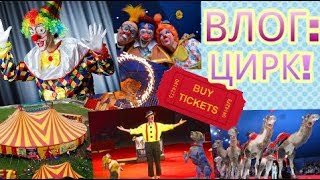 ВЛОГ идем в цирк Шапито🎪. ВЛОГ идем в цирк Шапито🎪.