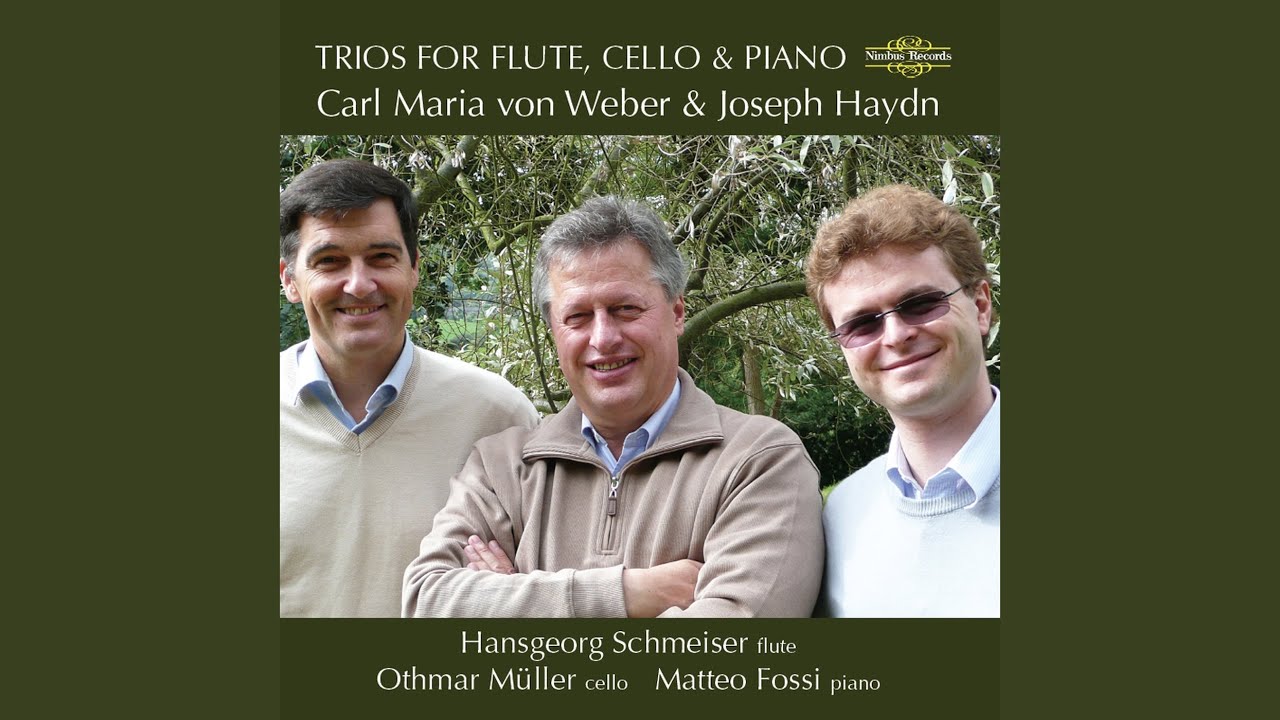 Guarda Trio in G Minor, Op. 63: I. Allegro moderato su YouTube
