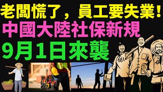 中國大陸社保新規2025年9月1日實施！餐飲老闆哭訴撐不下去，製造業老闆也慌了要關門，員工擔心失業潮來襲，網友熱議政策時機不當，小企業生死存亡關鍵時刻