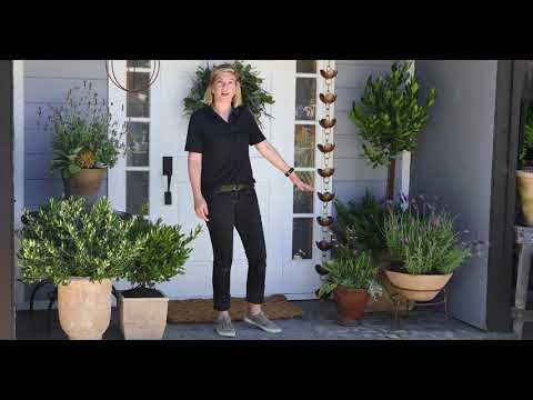 How to Design A Mediterranean Style Front Porch with Catherine Smith