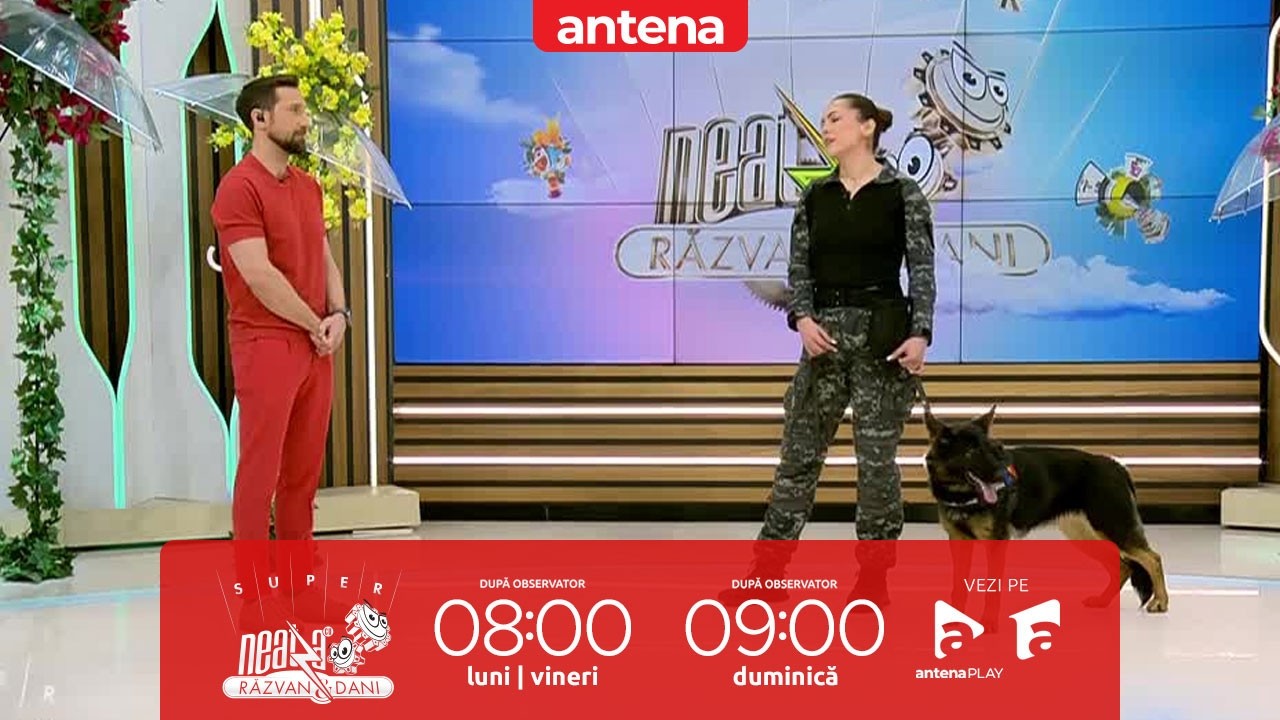 Cum poți să ajungi să lucrezi cu câini în Poliție | Detalii oferite de Andreea Prepeliță