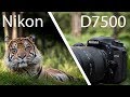 Nikon D7500 Review - Powerful But Not Perfect