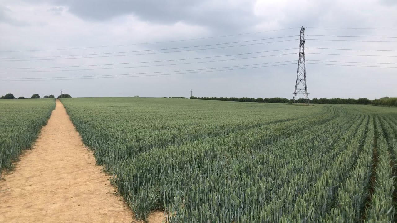 Cutteslowe to Kidlington Kings Arms, Oxford/Water Eaton/Gosford/Kidlington, June 9th 2025