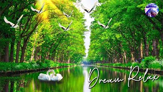 Relaxing Sleep Music: Deep Meditation Music, Bird sounds , &quot;Soothing Sounds of Nature&quot;