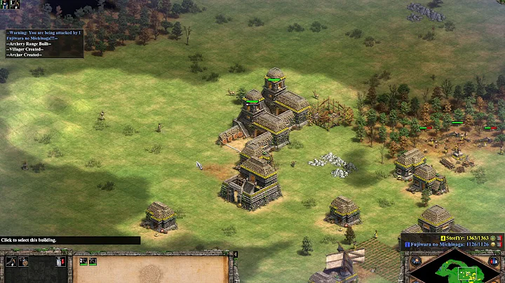 AOE 2 DE | 1v1 extreme AI |