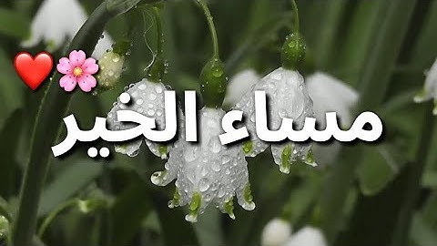 أجمل حالات واتس مسائية قصيرة 🍃🌹 أذكار المساء 🌱 مقاطع انستغرام ❤استوريات مساء الورد