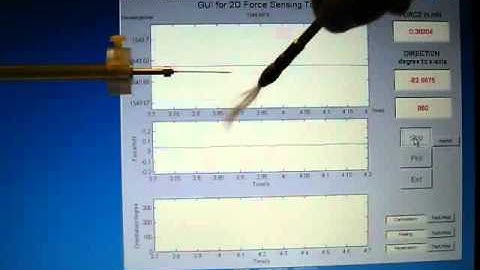 Touching a 2DOF Micro-Force Sensor with a Feather