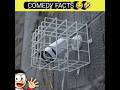 Comedy facts 😂🤣|funny|fun|entertainment #funny #comedyshorts #comedyvideos #facts
